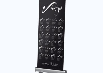 Rollup FIFCL 2016