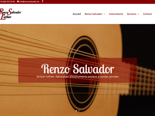 Site Internet Renzo Salvador