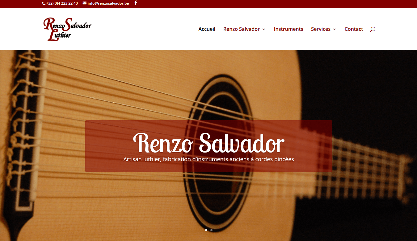 Site Internet Renzo Salvador