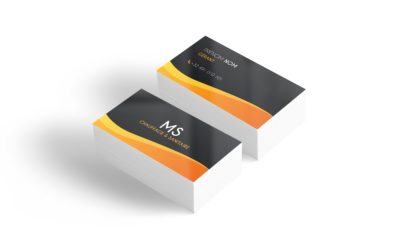 Cartes de visite MS