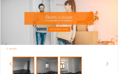 Site Internet PMG-IMMO