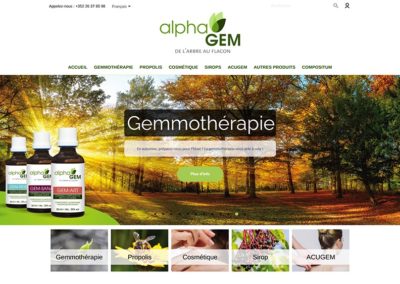 Site Internet Alphagem