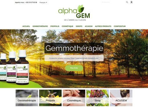 Site Internet Alphagem