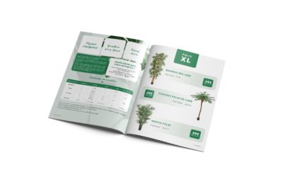 Brochure papier Do Création