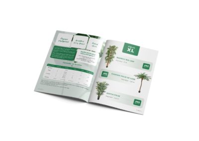 Brochure papier Do Création