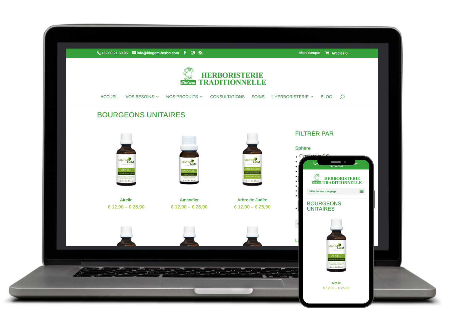 Site Internet Biogem