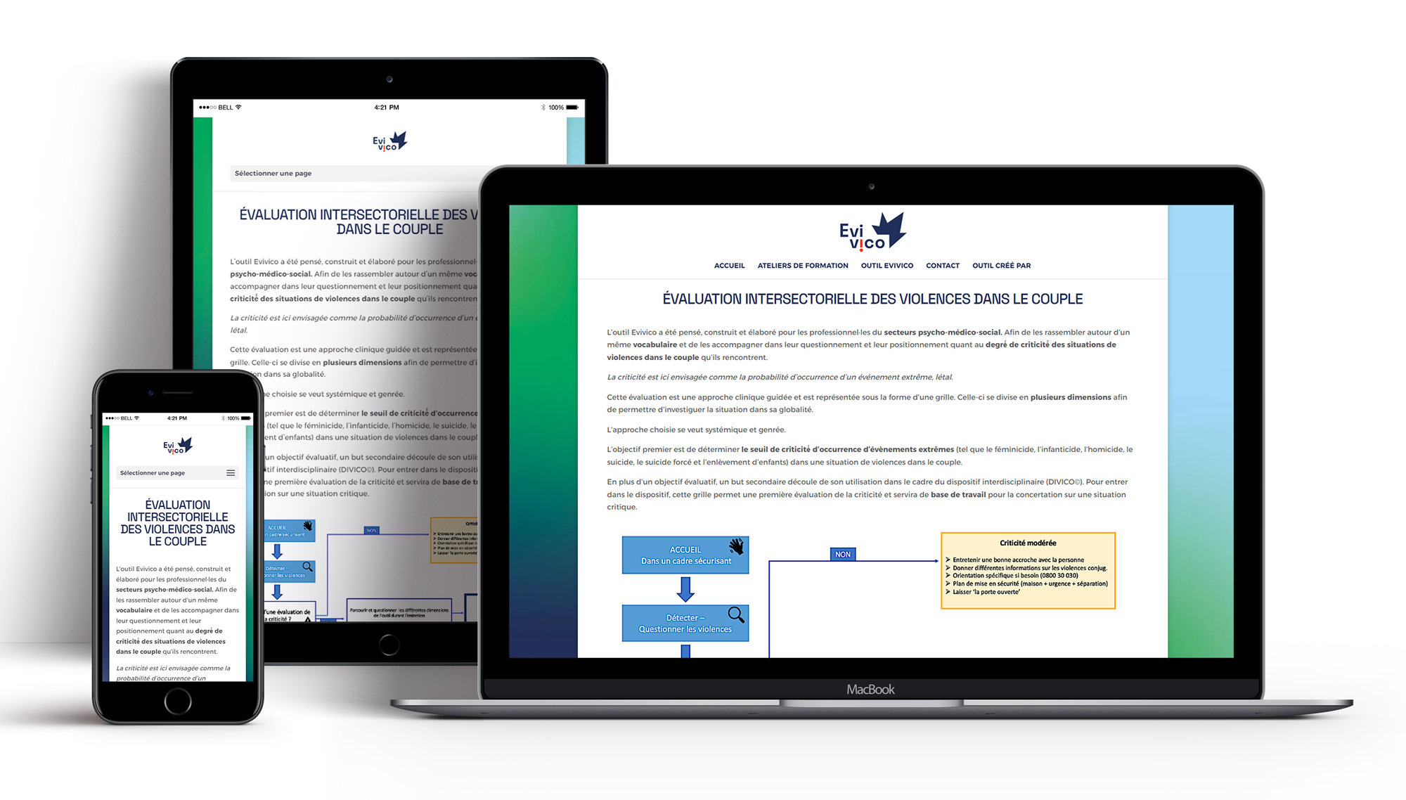 Site Internet Evivico