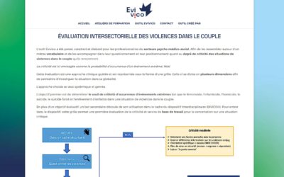 Site Internet Evivico