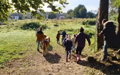 Site e-commerce Ferme des Enfants
