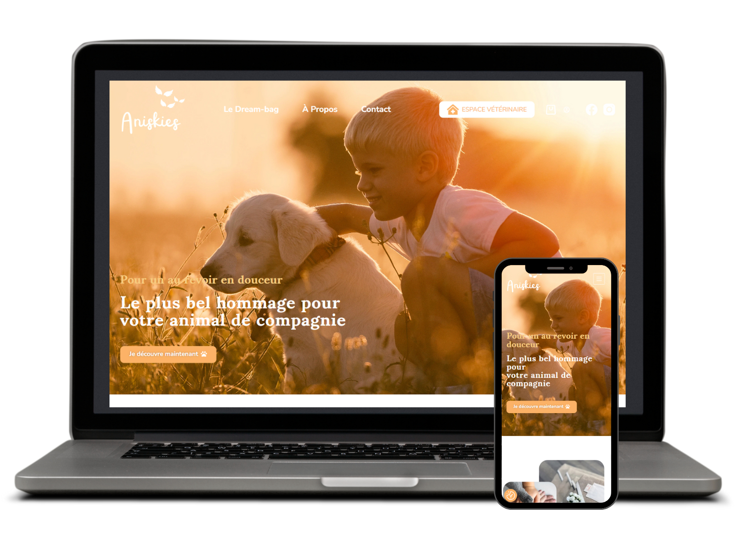 Site e-commerce Aniskies