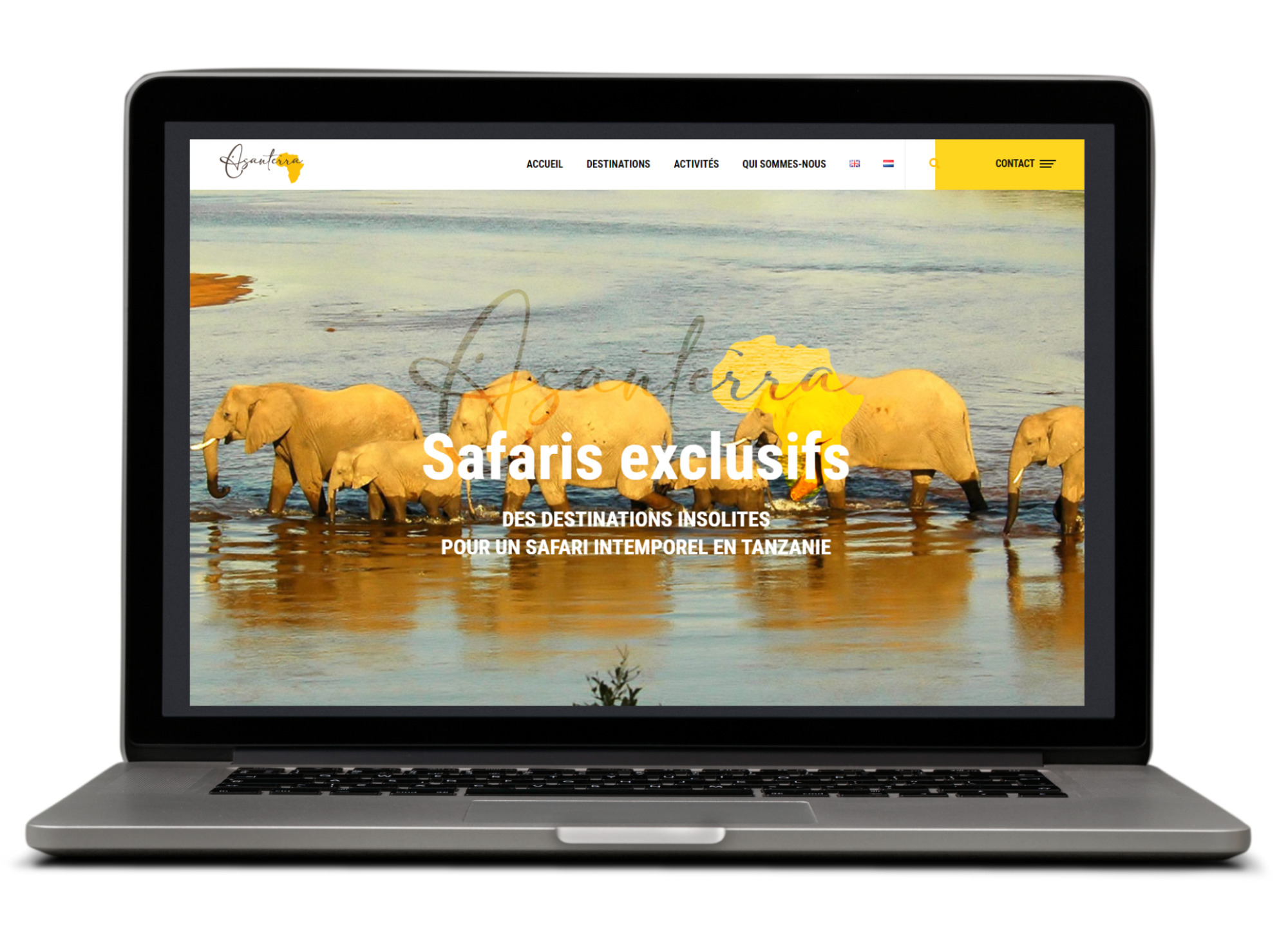 SEO pour Asanterra